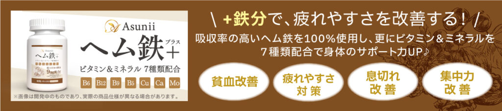 アスニーヘム鉄サプリメント詳細はコチラ